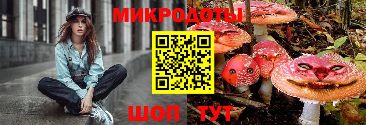 Псилоцибиновые грибы Psilocybe Белогорск
