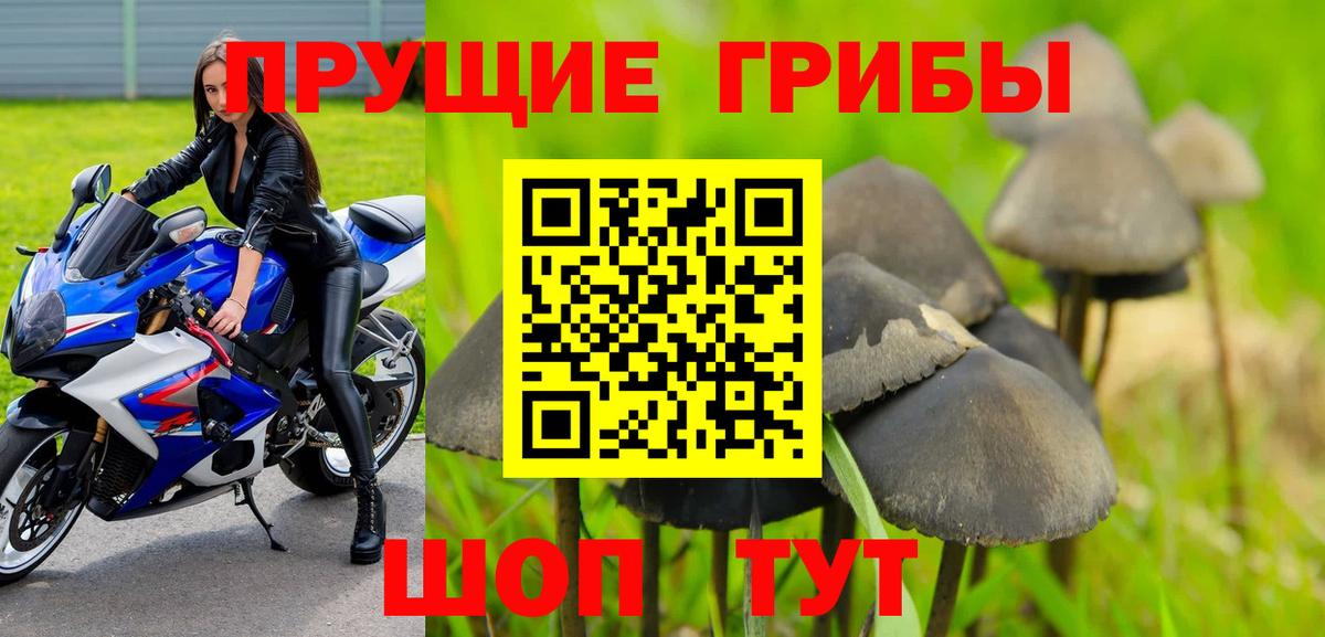 как найти   Вход с VPN  Белогорск  Галлюциногенные грибы Psilocybine cubensis 